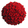 Queen 100 Roses